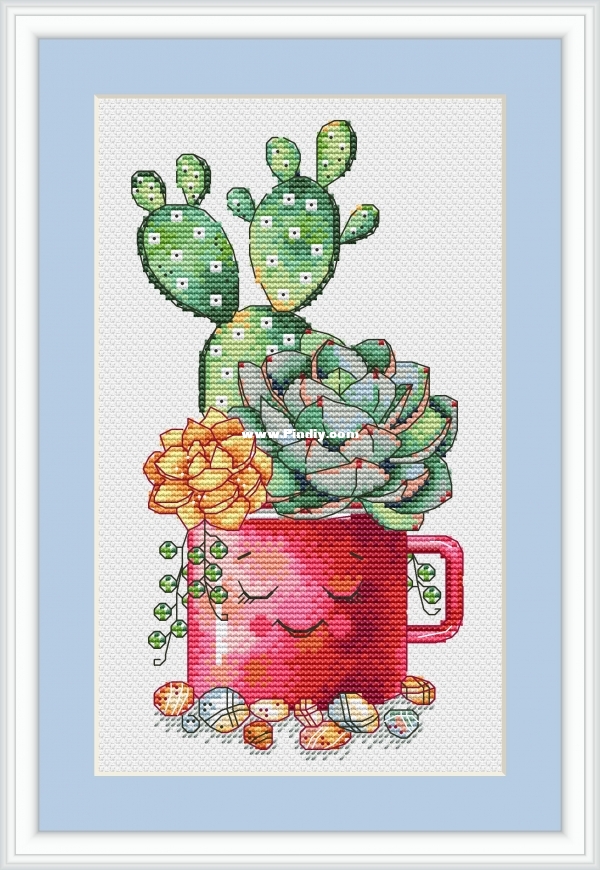 Cactus ans succulents