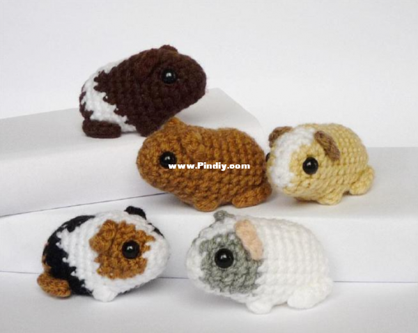 Guinea pig.png