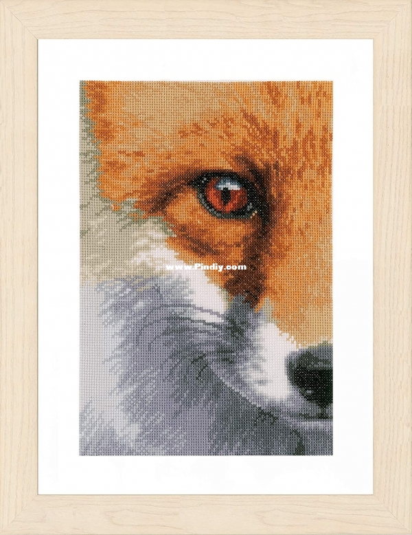 Lanarte PN-0171836 Fox (1).jpg