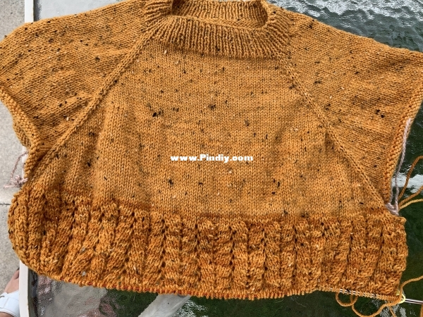 Dolly Laishram2.jpeg