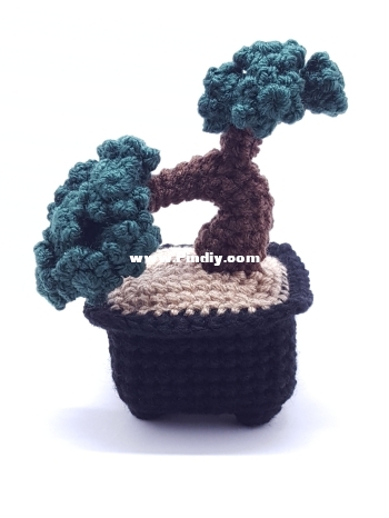 Bonsai tree