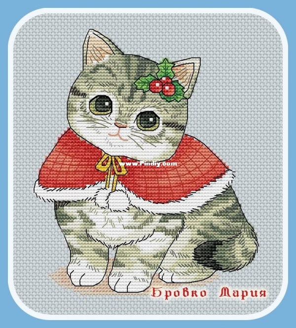Gray Cat.jpg