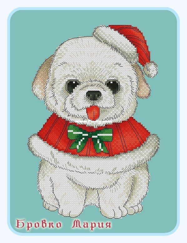White Puppy.jpg