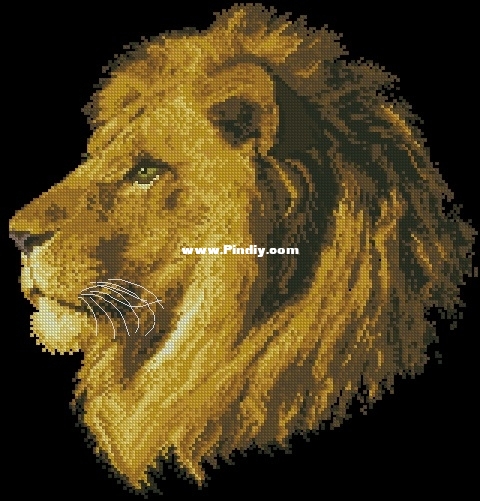 RTO R114 King of Beasts XSD.jpg