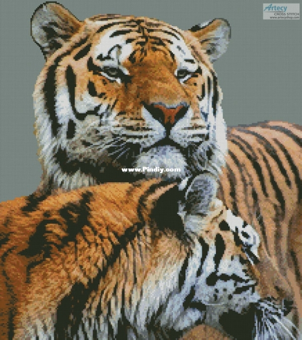 tigers_LRG.jpg