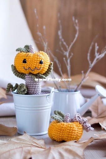 ANC0003-89_Baby pumpkin_A4.jpg