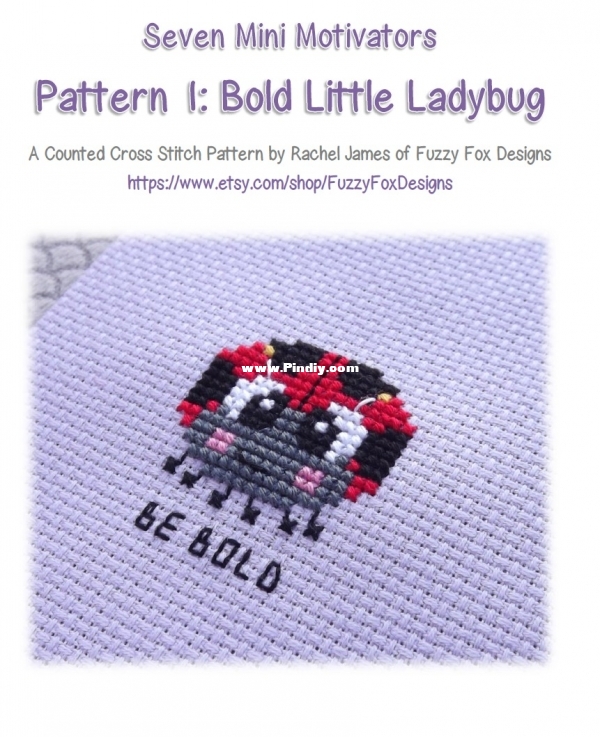 Pattern 1 - Bold Little Ladybug.jpg