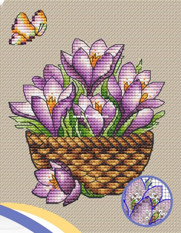 Crocuses.jpg