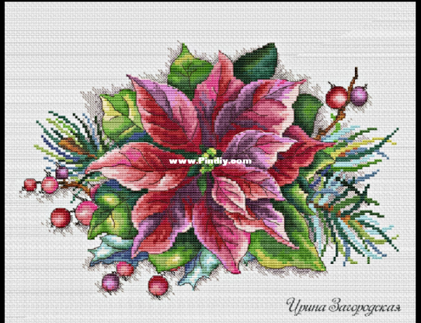 Winter Poinsettia.png