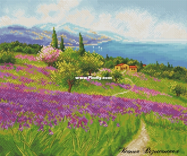 Valley of Irises.jpg