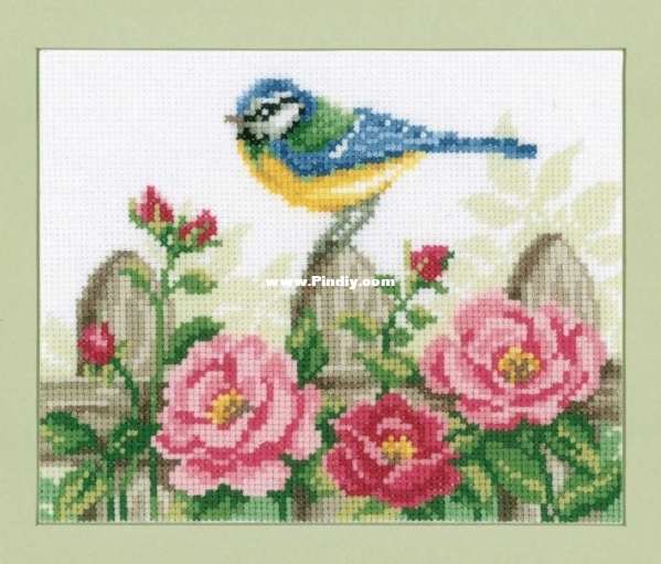 VE 70.331 OK Blue Tit.jpg