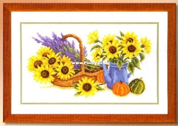 VE 70.075 OK Garden Reward.jpg