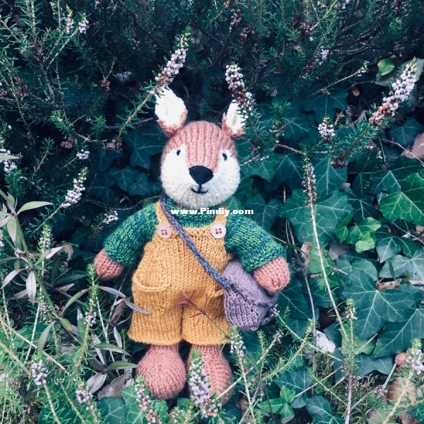foxi.jpg