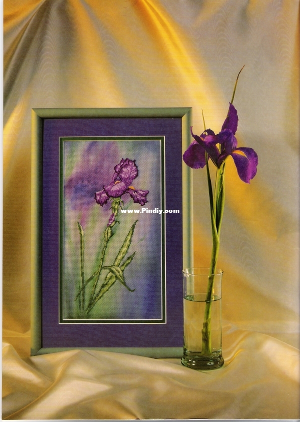 scan0002.jpg