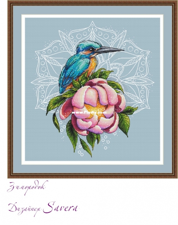 Kingfisher.jpg