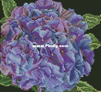 TG 0497 OK XXX.JPG