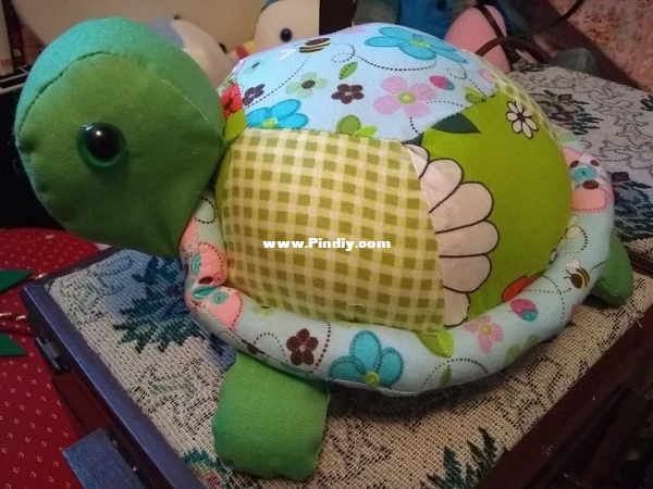 Turtle 1.jpg