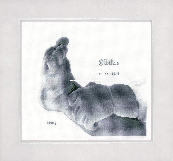 VE PN-0158042 OK Little Baby Foot.jpg