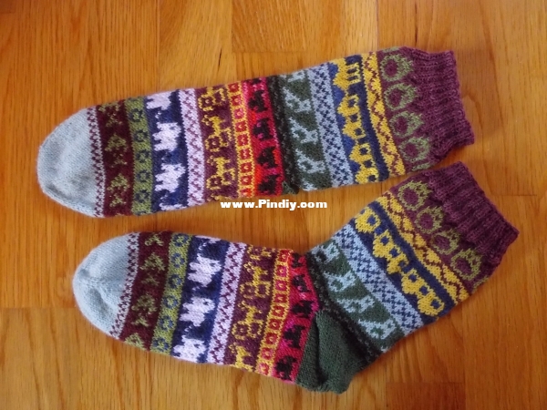 Motivation Socks1.jpg