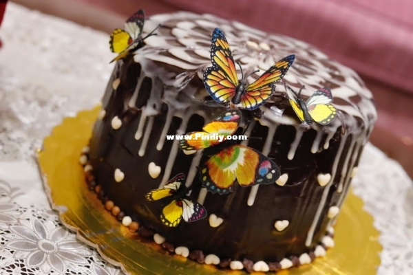 Chocolate cake