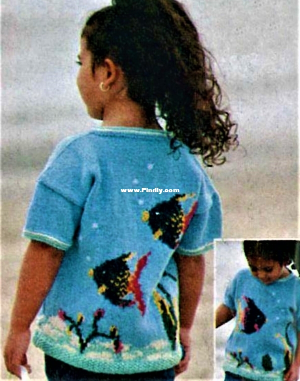 fishy pullover.jpg