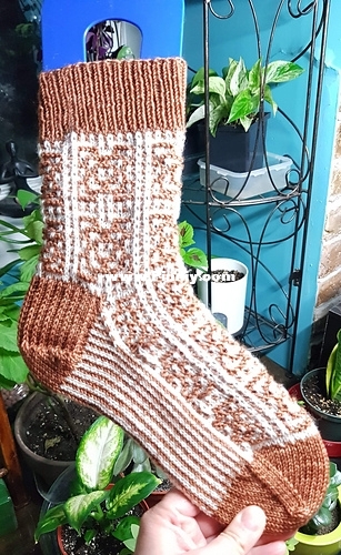 bethesda socks 1.jpeg