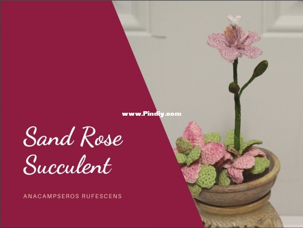 Flawless Crochet Flowers - Leticia Lebron - Rainbow Sand Rose Succulent - English