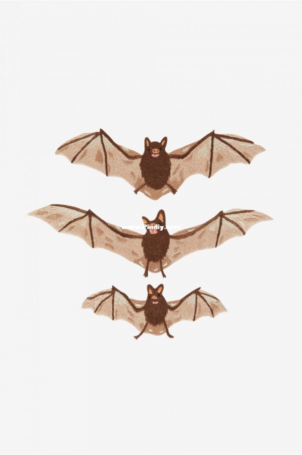dmc bats.jpg