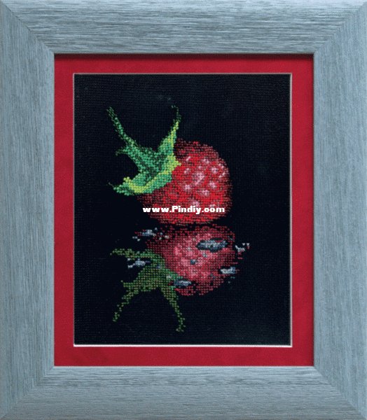 A-182 - Reflection Raspberry.gif