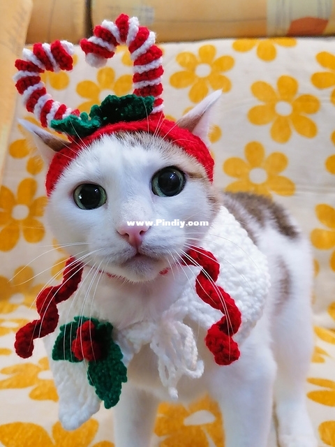BJD clothes Craft - Svetlana Maxarova - Christmas hat with candy canes for pet_1.jpg