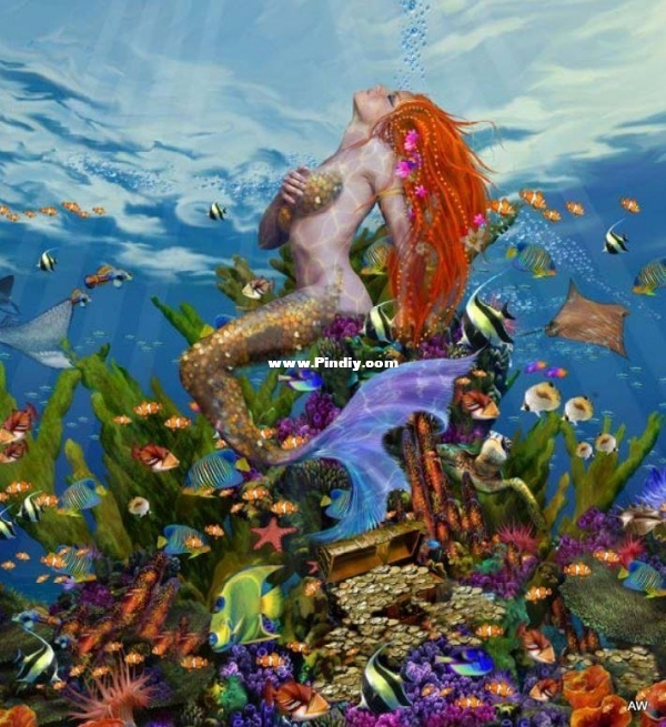 HAEJOEMC 20190844 Mermaid_Reef_MC.jpg