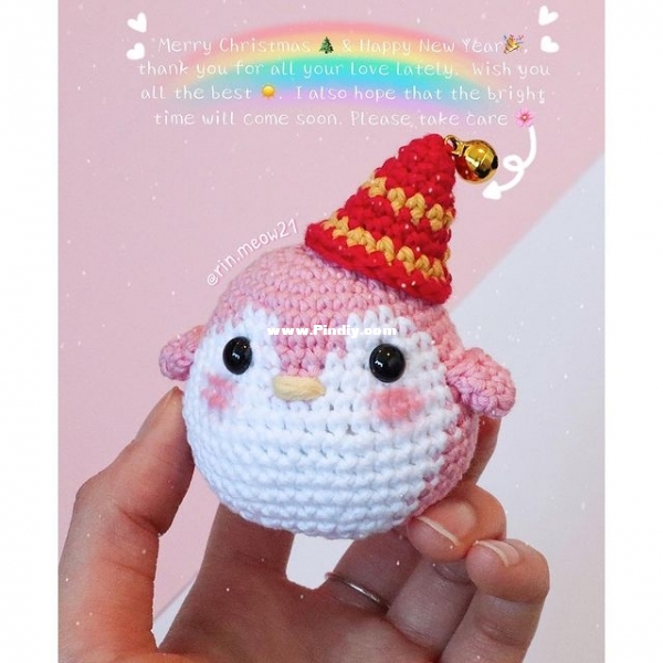 Photo by RIN Crochet on December (4).jpg