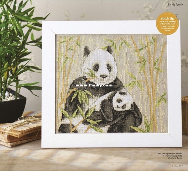 Into The Wild - Panda Family-Pic.jpg