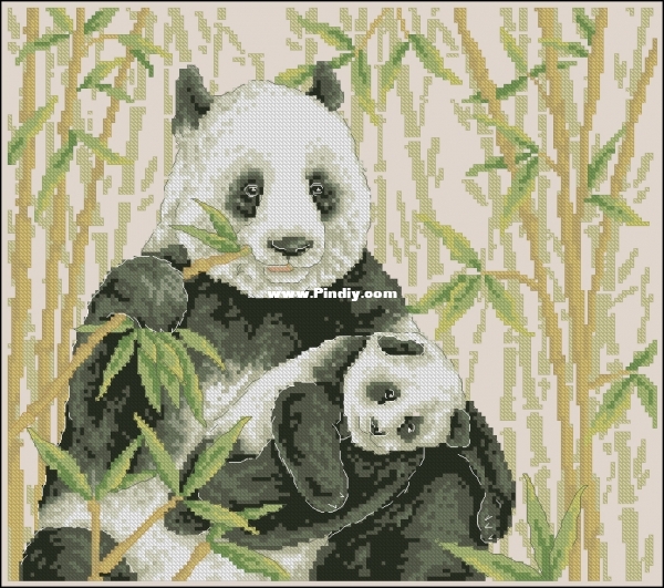 Into The Wild - Panda Family.jpg