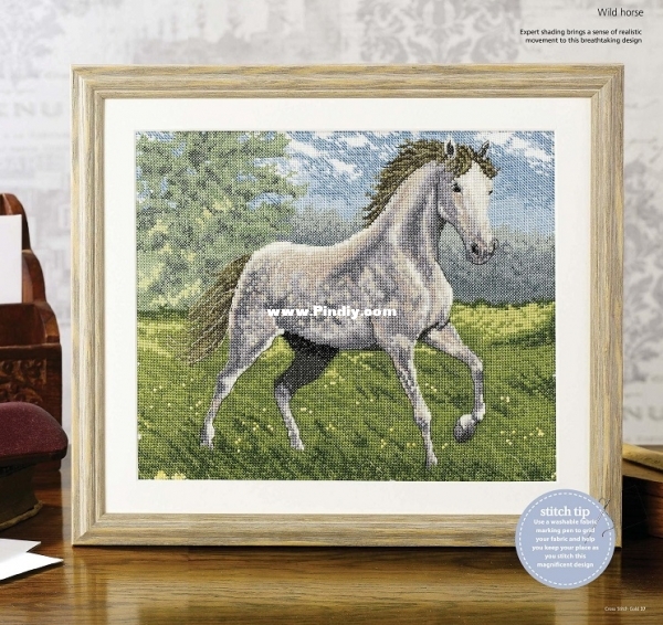 Wild and Free - Wild Horse-Pic.jpg