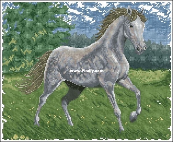 Wild and Free - Wild Horse.jpg