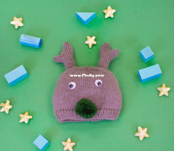 A700 Family Reindeer Beanie.png