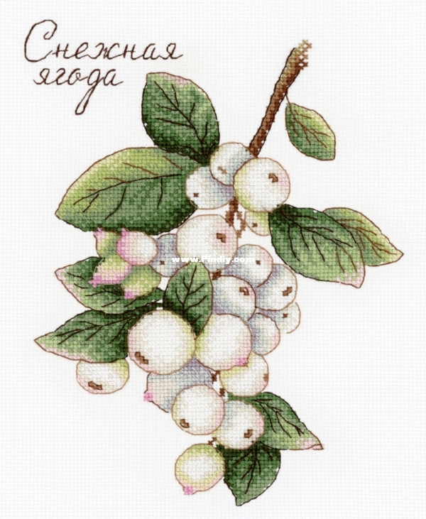 M.P. Studia HB-662 OK Gifts of Nature. Snowberry - DMC.jpg