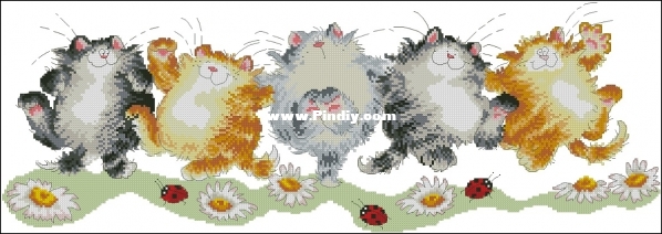 Bothy Threads XMS16 The Cat-Can XSD.jpg