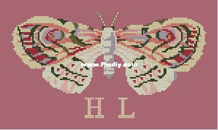 Kathy Barrick OK H.L.&#039;s Moth XXX.JPG
