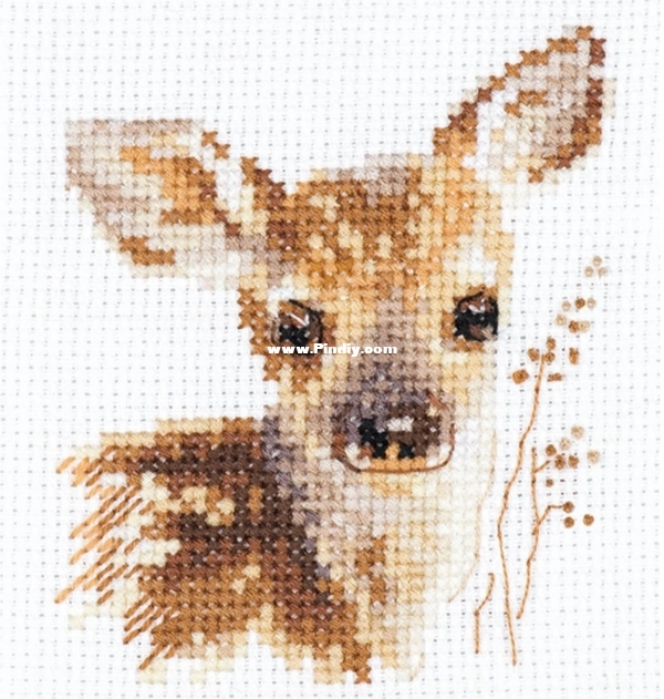 Alisa 0-195 OK Animals in Portraits - Fawn.jpg