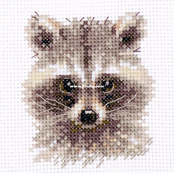 Alisa 0-208 OK Animals in Portraits -  Raccoon.jpg