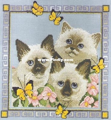 Couchman _ Butterfly Cats.jpg