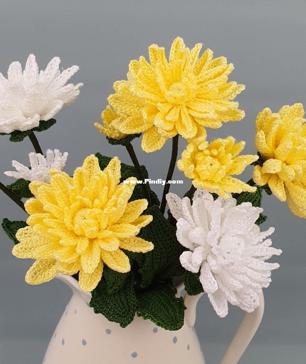 Chrisantemum.jpg