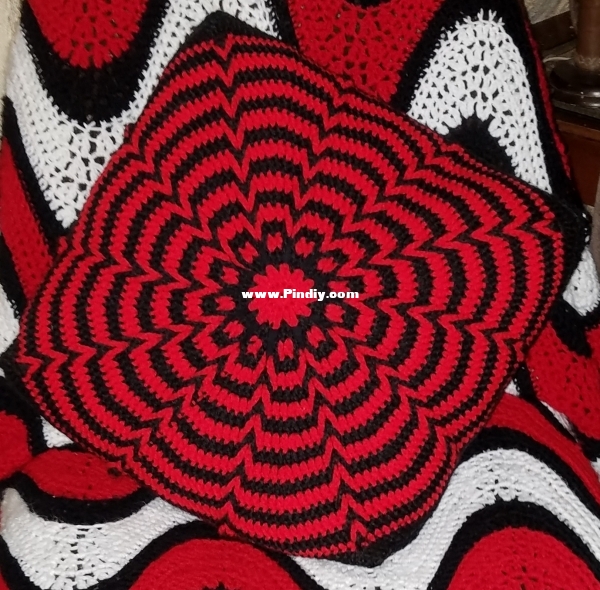 0 illusion pillow.jpg