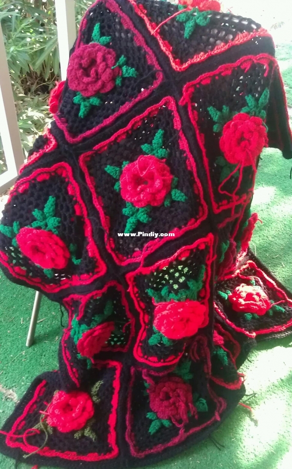 0 irish roses.jpg