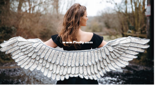 Feather Wings Shawl.PNG