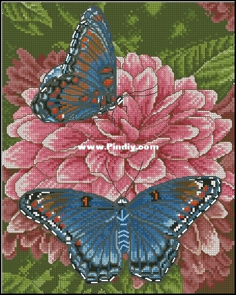 45819 Butterfly.jpg