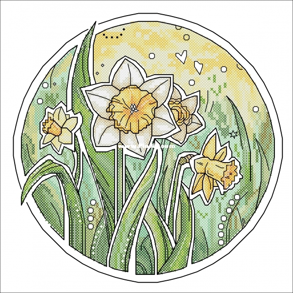 Okneas Daffodils.jpg
