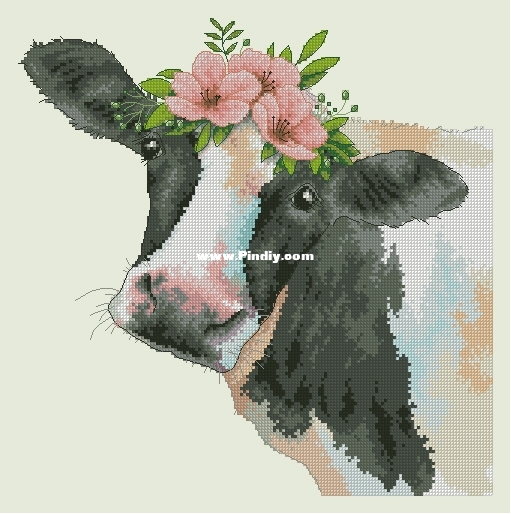 Dim 35386 OK XXX.JPG